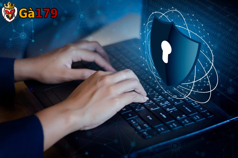 Chơi three face tại Gà 179 người chơi được bảo mật tối đa